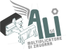 Logo ALI moltiplicatore di zavorra